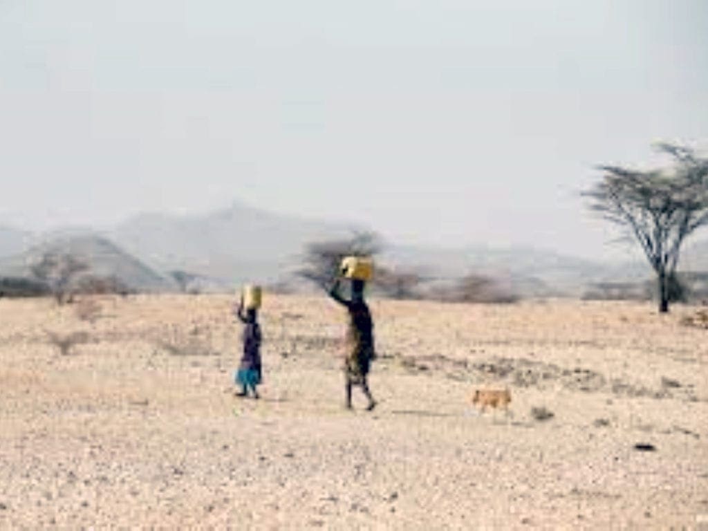 Sequía en la región de ASAL en Kenia