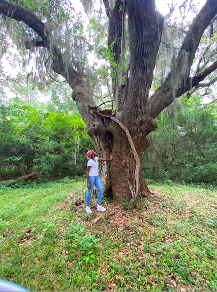 Takeya on Edisto Island