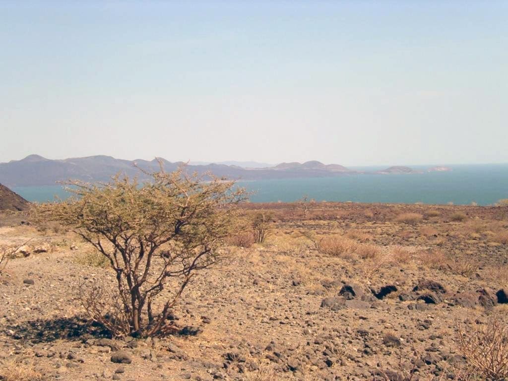 Lake Turkana, Kenya, visto a la distancia.