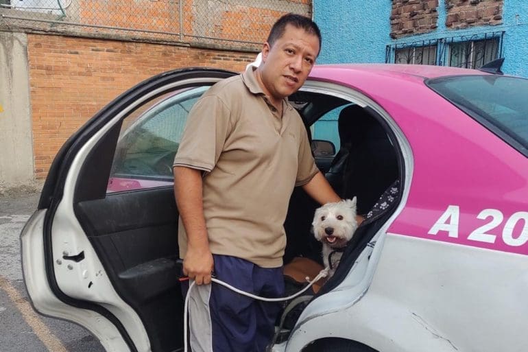 Luis Roberto González López in his taxi with one of the dogs he has rescued.