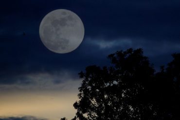 Photographer Nubia Beatriz Rivas Alvarenga captures the moon in its various iterations