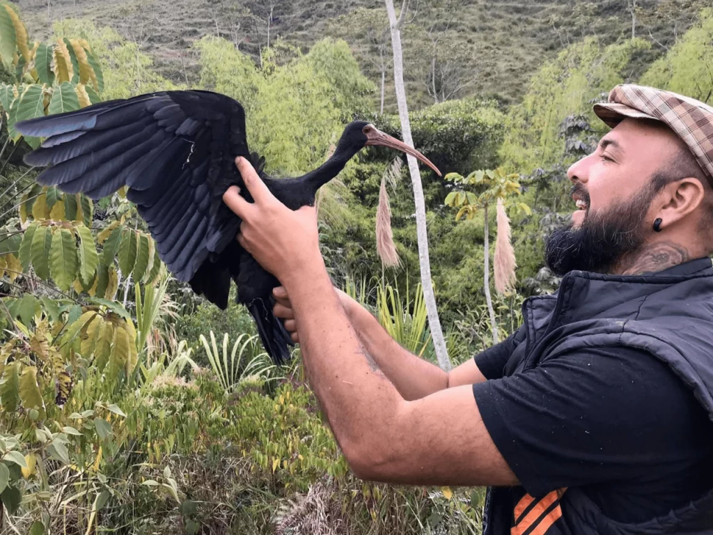 Davis Beltrán next to a black vulture