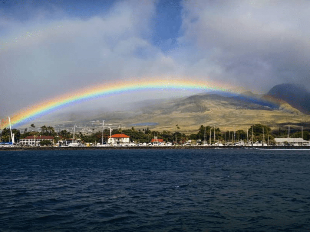 Annelise Cochran's beloved Lahaina view from her workplace at the harbor before the devastating fires destroyed the area. | Photo Courtesy of Annelise Cochran