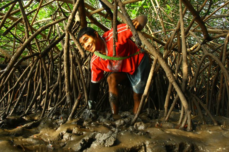 Curileros work hard to collect shells from mangroves, earning $5 to $10 a day
